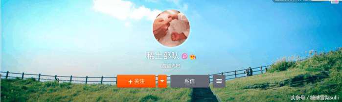 王菲为什么叫veggieg，艺人的微博名字究竟有什么深意