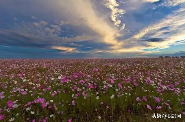 老年人生日发朋友圈短句子,送给老年朋友的心胸宽广的句子