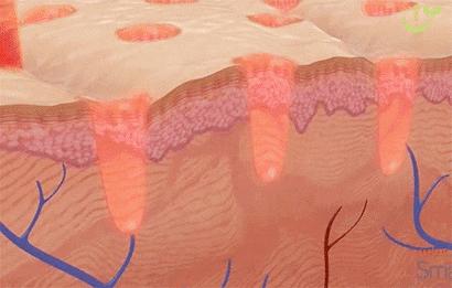 为什么范冰冰比林允气质好,范冰冰王菲谁漂亮