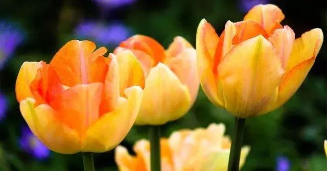 小孩手掌肿胀半夜疼严重,孩子有一只手背肿了