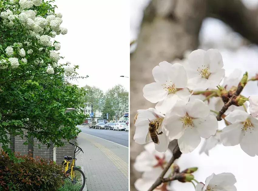 杭州新开了哪些商场,杭州即将开的购物中心