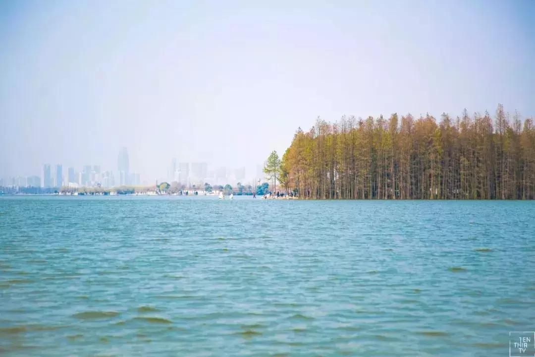 武汉未来的中心城市,东方的芝加哥是什么城市