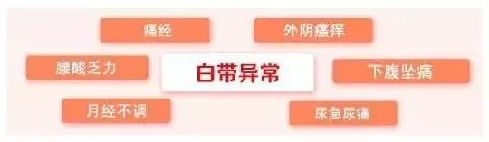 白带异常的病,白带异常是哪些疾病的征兆