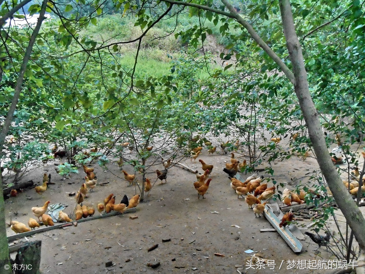 适合农村人小本创业项目，只因懂这些商机，再也不埋怨赚不到钱了