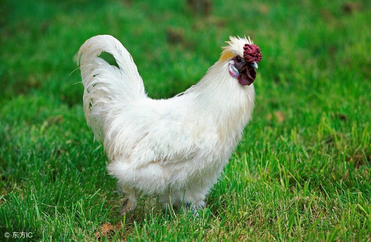 小伙走浙江之印象-衢州江山篇