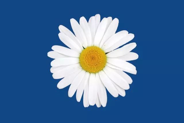 痔疮手术后11天亲身经历,痔疮手术后7-10天亲身经历