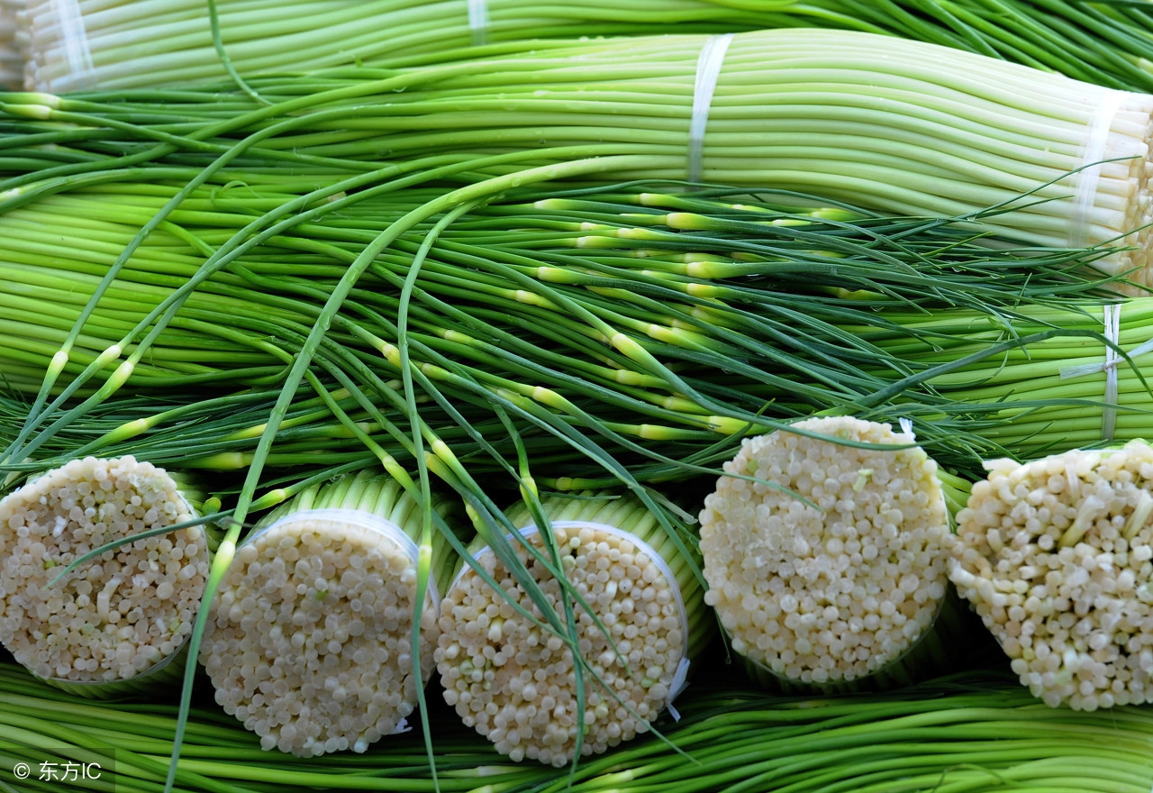 蒜苔价格今日行情卖蒜苔赚钱吗,今日蒜苔价格是多少钱