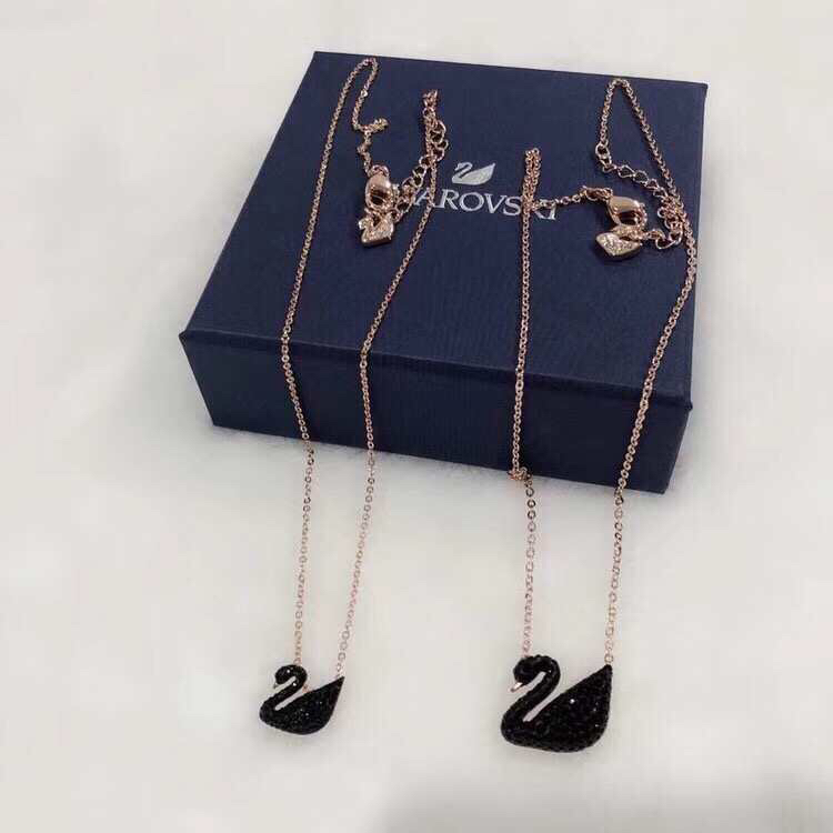 惊喜黑天鹅飞临凉水河优雅又漂亮 (黑天鹅很美)