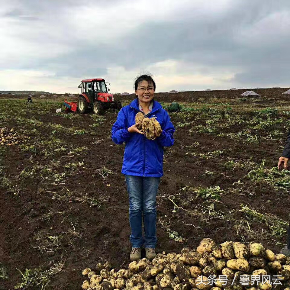 “格瑞得杯”征文·种薯销售女皇是怎样炼成的？