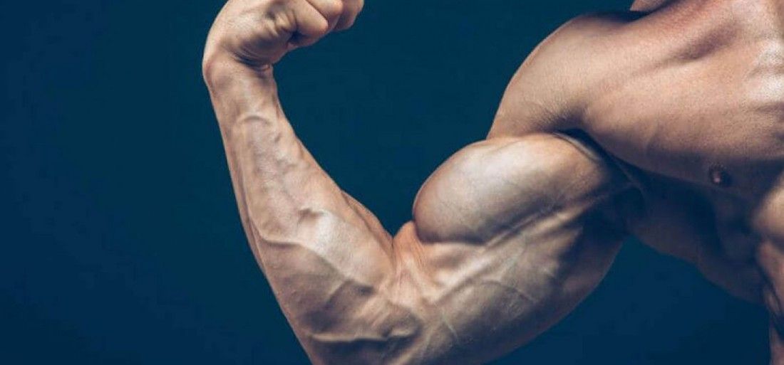世界上最强粗的肱二头肌,为什么肱二头肌很发达小臂很细