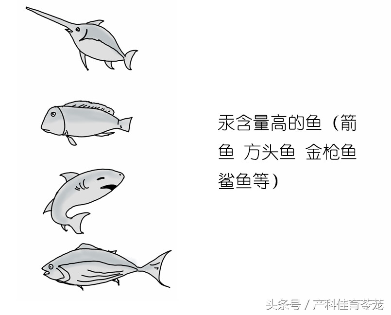 一张图告诉你孕期多难受,孕妇哪些不能吃图文
