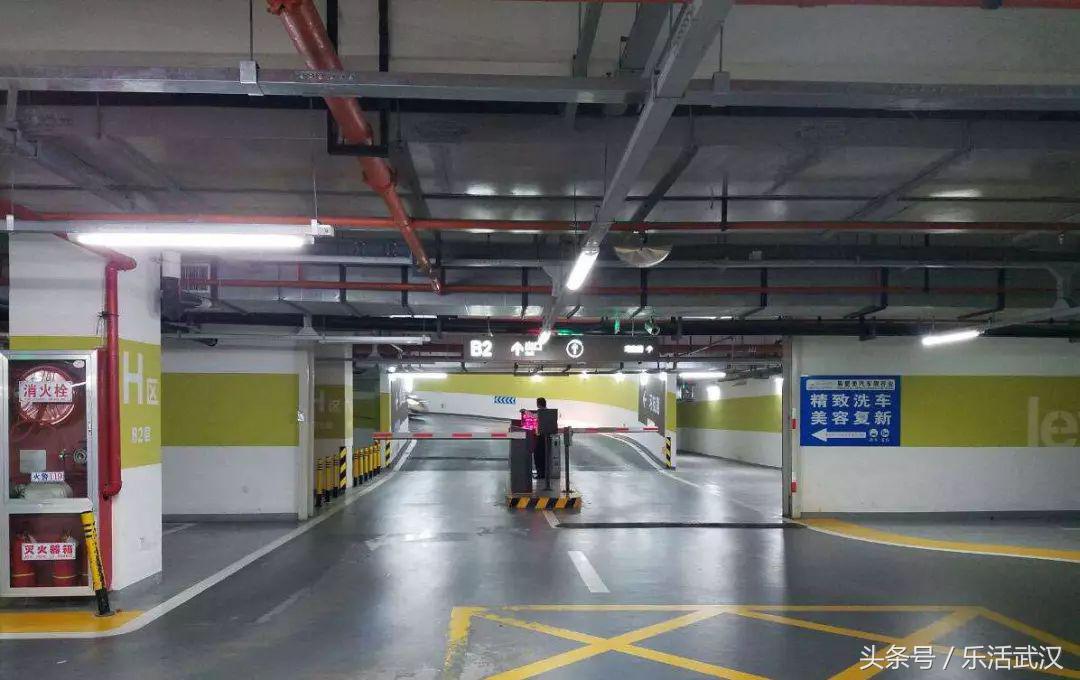 武汉期待已久的4月,武汉的四月是一个迷人的季节