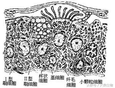 万病之源始于毒素,万病之源起于情志不畅