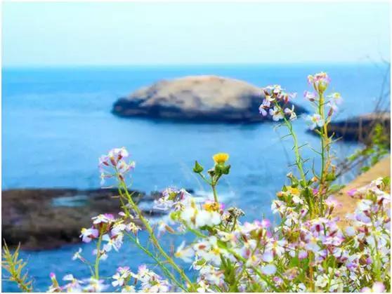 浙江宁波岱山县渔山岛,渔山列岛梦洋宾馆