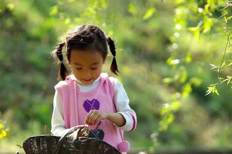 春柳，最平易近人的春色