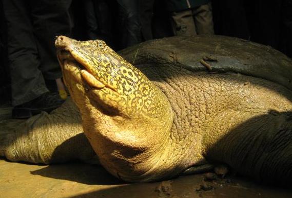 一周科技|我国第一个科技云上线中国首次在东南太平洋发现富*土稀**