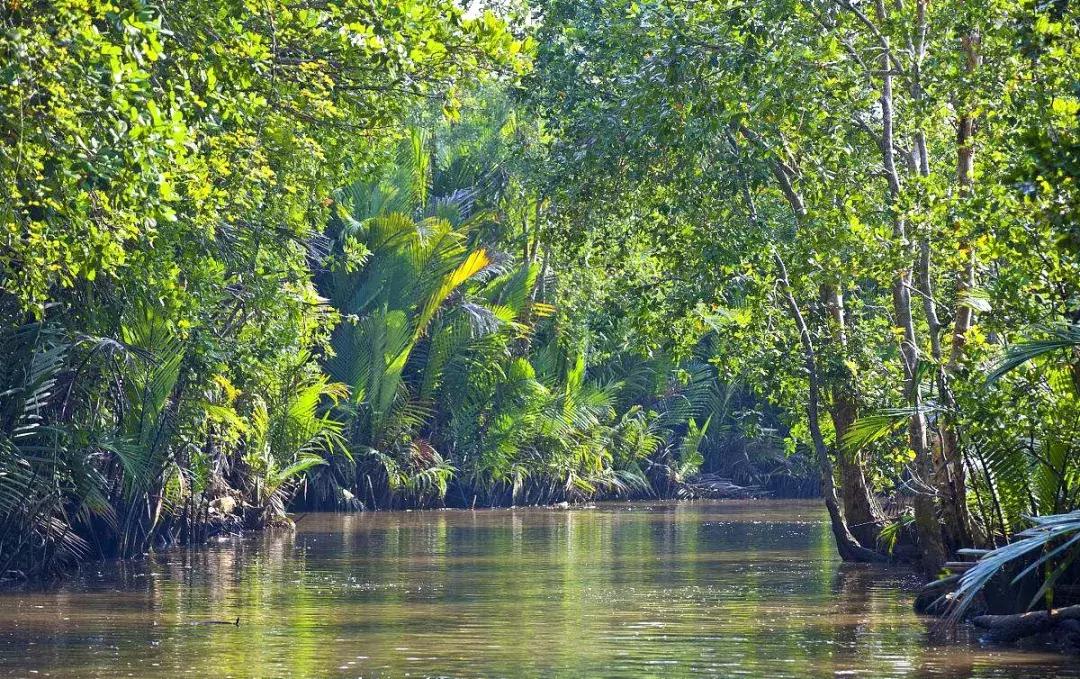 碧海蓝天椰风海韵阳光沙滩,碧海蓝天度假天堂