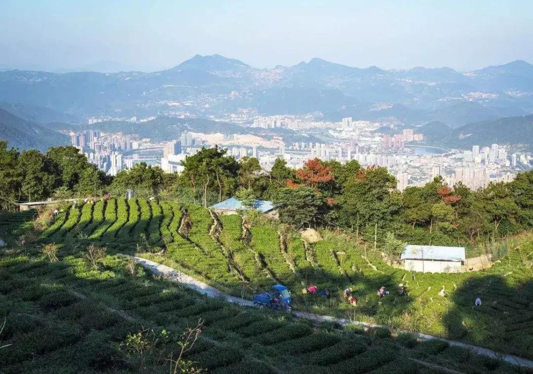 农业农村创业新政策,农民如何在农业上创业