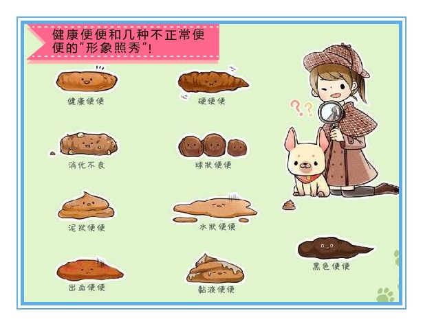 训练婴幼儿排二便方法,培养宝宝自己大小便的技巧