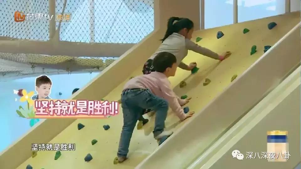 霍思燕为什么称小短手,霍思燕短手照片