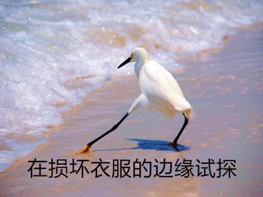 怎么洗衣服干净又不会磨损衣服,什么丝绸衣服不腐烂不起球