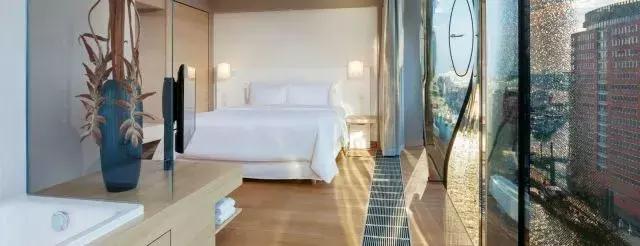 德国易北音乐厅,易北爱乐音乐厅开幕音乐会