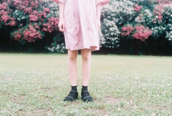 佳能eos3胶片机评测,胶片机推荐100左右