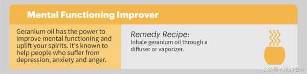 天竺葵精油涂在哪里止痛,面部专用精油天竺葵精油