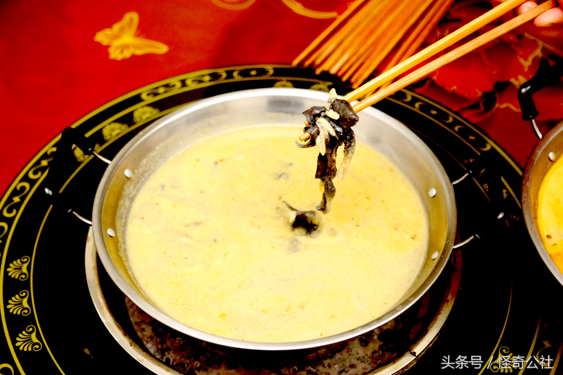 宜昌雾渡河石蛙养殖,石蛙养殖技术附近石蛙养殖基地