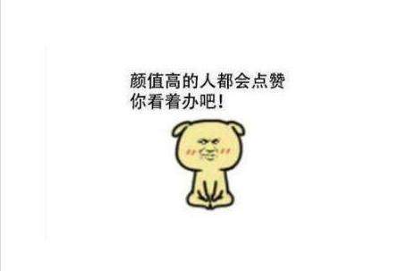 鹿晗邓超英语,鹿晗邓超和郑恺