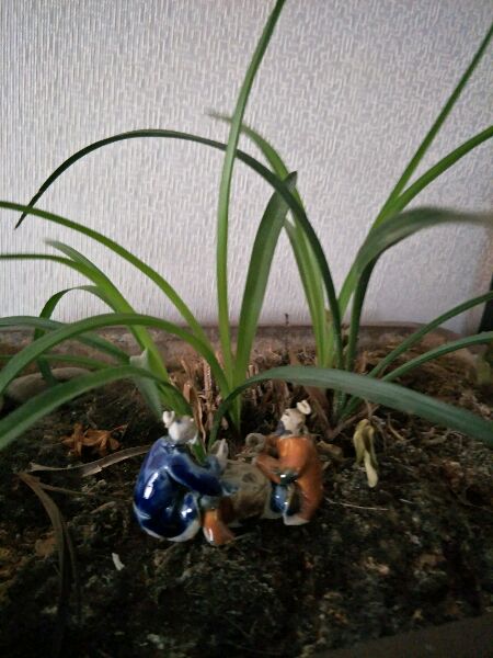 还是专业的拍的好看，新中式美家已入住2个月了，两个字完美！