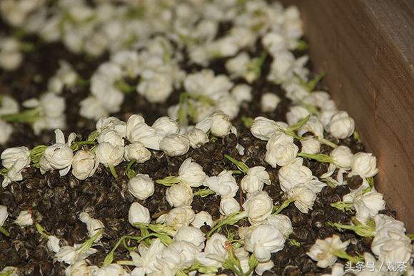 吴裕泰最经典的三款茶价格,吴裕泰正山小种为什么是碎的茶