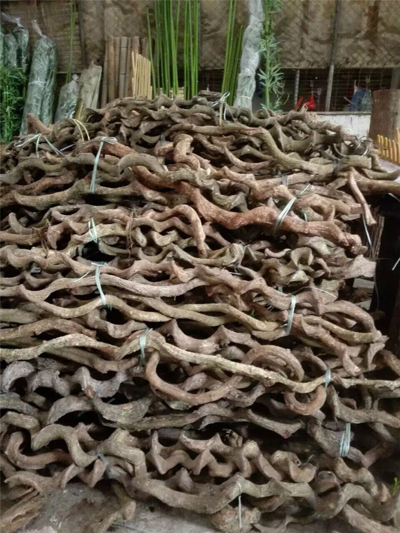 过江龙中草药主治功能,过江龙中药有什么功效作用