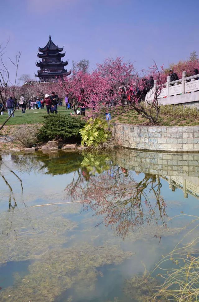 上海美食旅游攻略必去景点,江浙皖沪旅游景点推荐自驾游