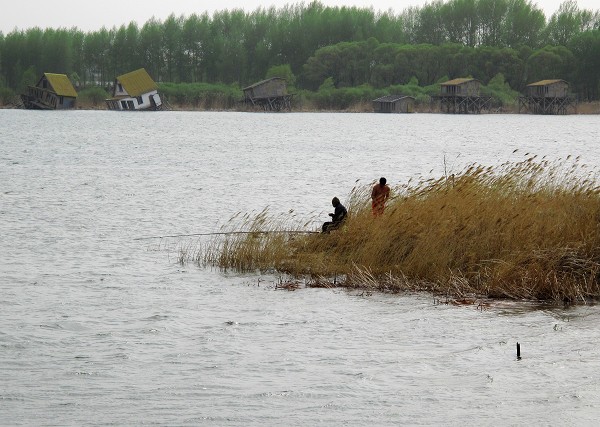 哈尔滨野狼湖，为东北最大的内陆平原湖，是野生狼栖息的天然场所