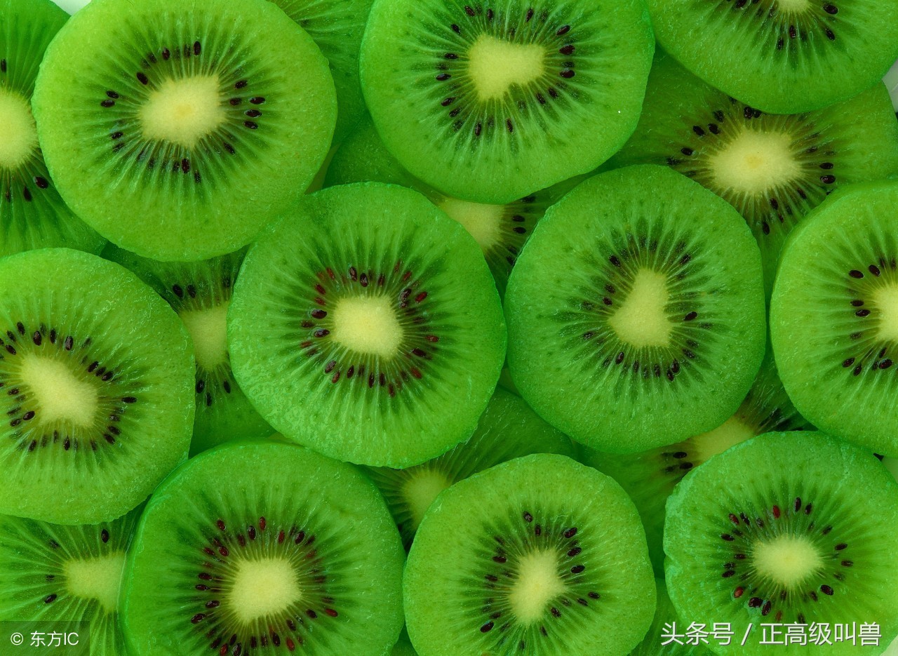 猕猴桃留洋回来变奇异果,猕猴桃真正实力
