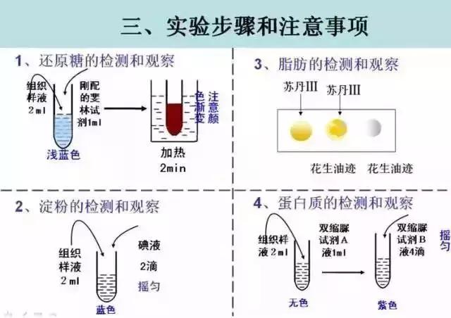高中生物课本所有生物实验汇总,广东中考生物实验六大实验操作