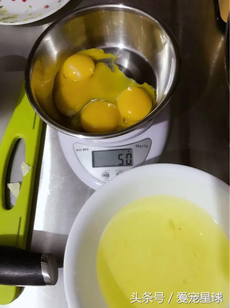 如何自制幼犬去泪痕狗粮视频教程,怎么给狗自制狗粮器