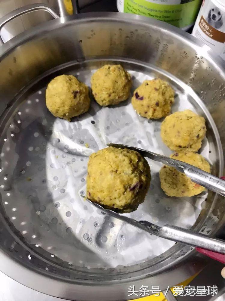 幼犬狗粮自制狗粮教程,怎么给狗自制狗粮器