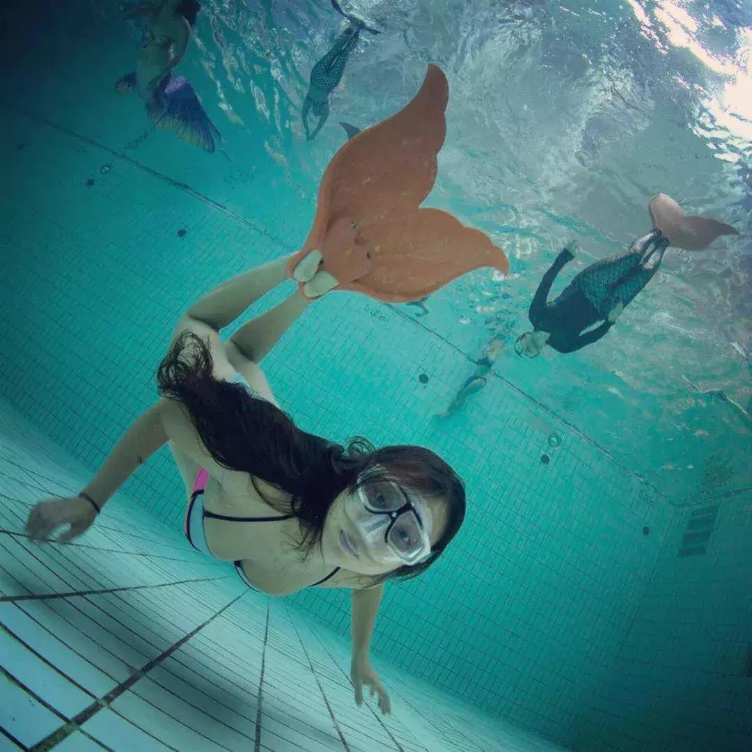 帕劳出行攻略详细,帕劳国内怎么去