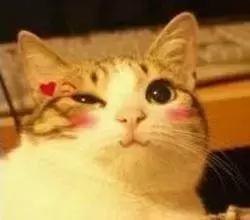 有什么平价且可以去黑眼圈的眼膜 (推荐去黑眼圈的眼膜)