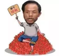 贵阳周边摘樱桃好去处,贵阳摘樱桃的地方有哪些