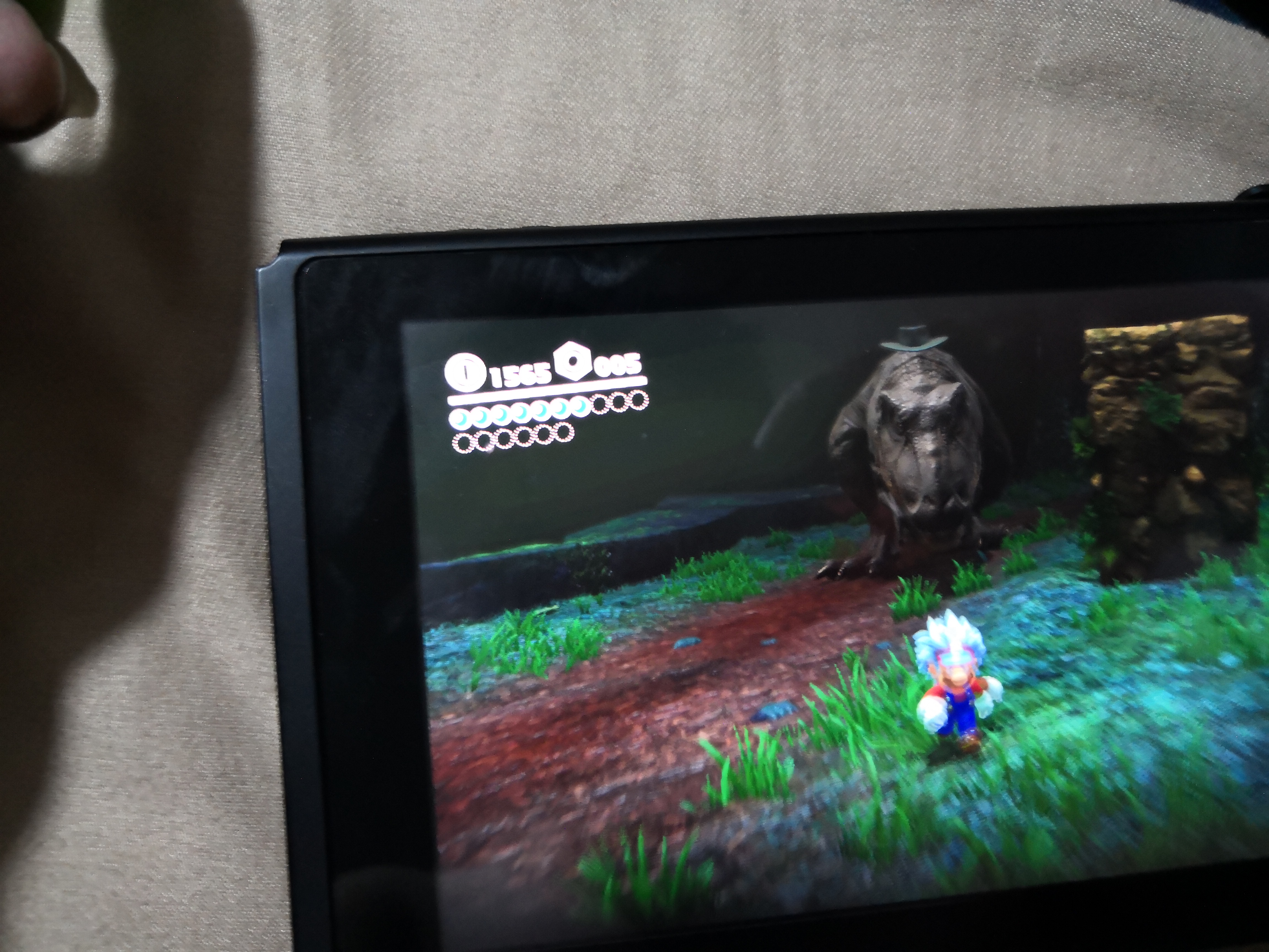 新手买switch需要知道哪些知识,switch购买建议和必备知识