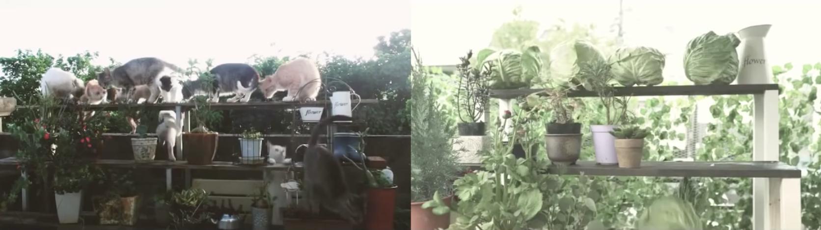 日产和天籁傻傻分不清楚,日清各系列对比