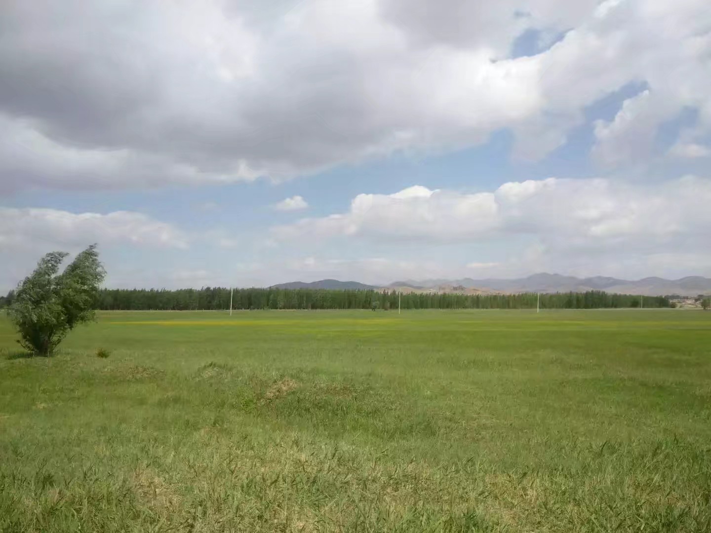 自驾车赤峰到通辽多远,骑行内蒙古331国道