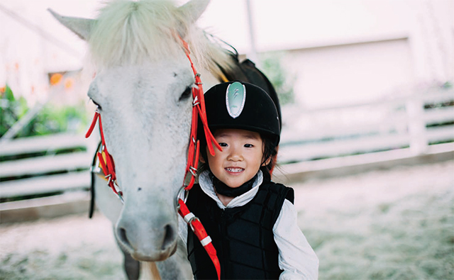 天空中那匹“不同”的马，一位马术俱乐部经营者的心声