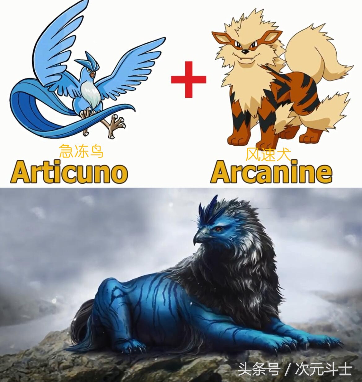 神奇宝贝超进化火焰鸡,神奇宝贝火稚鸡进化