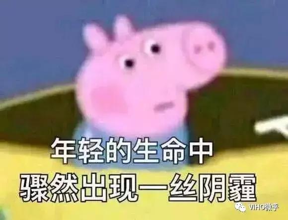 给想当网红的同学一封信,想给朋友写一封信