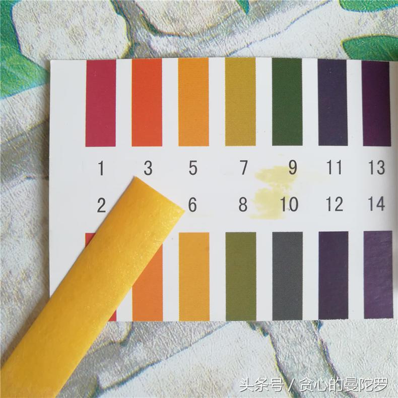 伊思蜗牛乳液一代,伊思蜗牛水乳滋润型怎么样