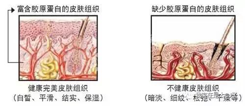 范冰冰护肤全过程,范冰冰是如何护肤